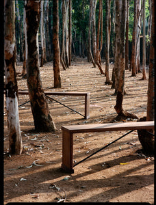 Nest, 2S Bench, Wood
